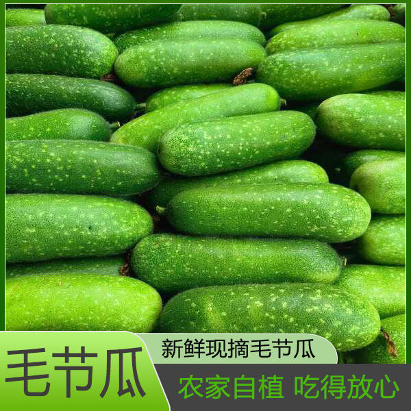 新鲜应季时令蔬菜现摘现发黑毛节其它
