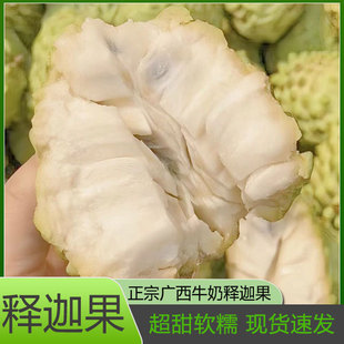 广西正宗释迦果5斤新鲜水果牛奶凤梨玫瑰释迦番荔枝佛头牟尼果