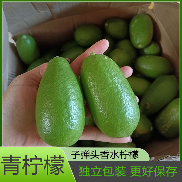 南宁香水柠檬无籽酸青柠檬独立包装皮薄新鲜水果南宁甜黄奶茶店专