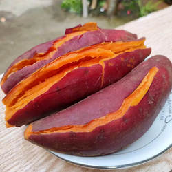 广西连州高山番薯西瓜红蜜薯一点红新鲜现挖农家自种软糯香甜地瓜