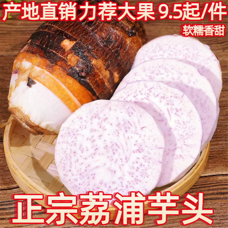 广西特产荔浦芋头软糯大香芋紫色槟榔芋现挖特大芋头块片新鲜芋艿
