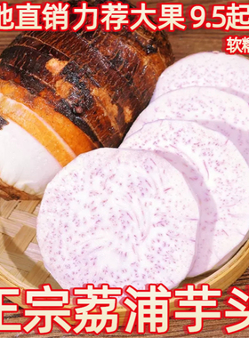 广西特产荔浦芋头软糯大香芋紫色槟榔芋现挖特大芋头块片新鲜芋艿