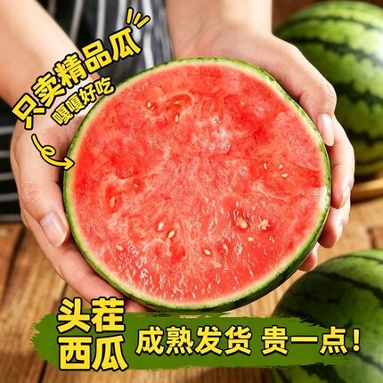 新鲜甘美4K西瓜站神整个大果5-10斤薄皮无籽肉厚当季时令新鲜水果
