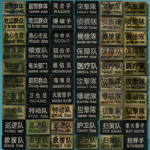 TEAM突击队刺绣魔术贴章侦查狙击臂章士气章徽章军迷战术背包贴章
