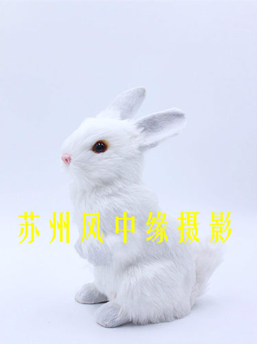 摄影拍照道具 仿真兔子模型小白兔 古风摄影表演演出玩具玉兔