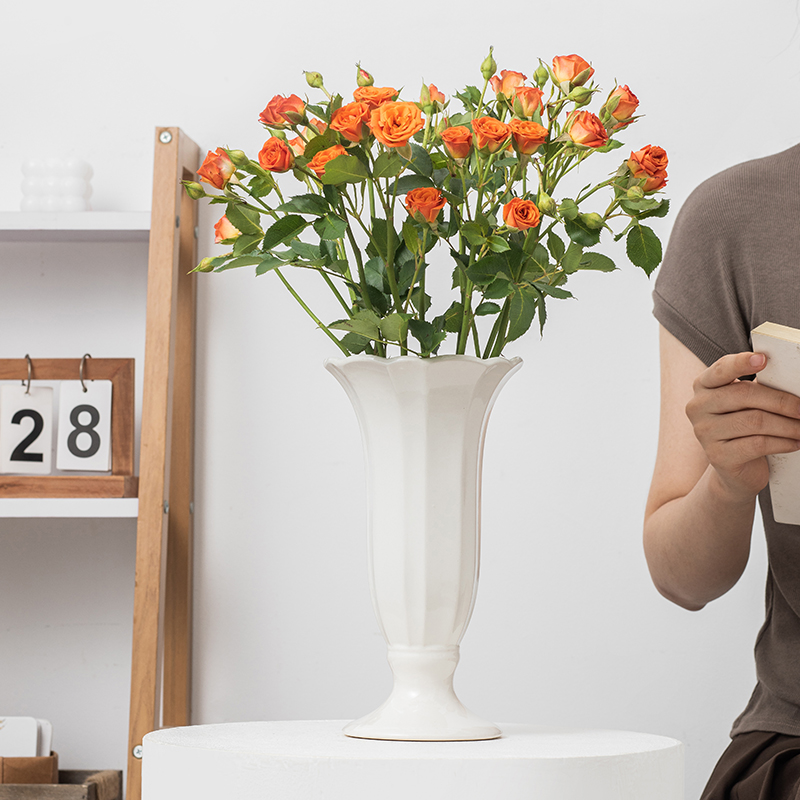 乔迁发财果花瓶摆件客厅插花假花仿真花摆设花艺玄关电视柜装饰瓶