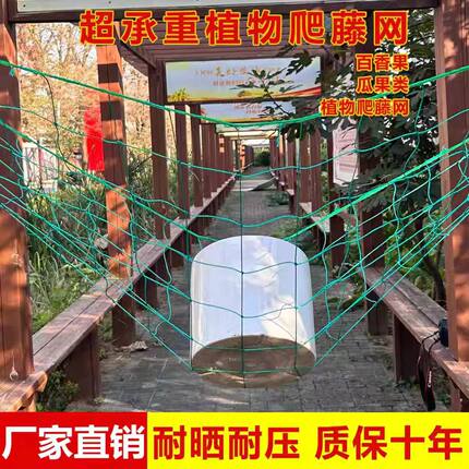 植物爬藤网攀援网园艺搭架网瓜果丝瓜苦瓜月季藤蔓花卉攀爬种植网