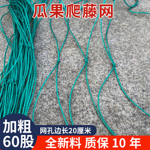 爬藤网植物花卉瓜果丝瓜苦瓜吊瓜葡萄瓜蒌豆角百香果爬藤网攀爬网