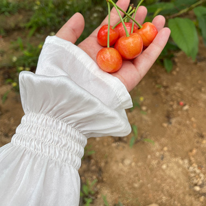 L.WANG 乐往原创女装 夏季旅游度假防紫外线防晒100%真丝长款袖套