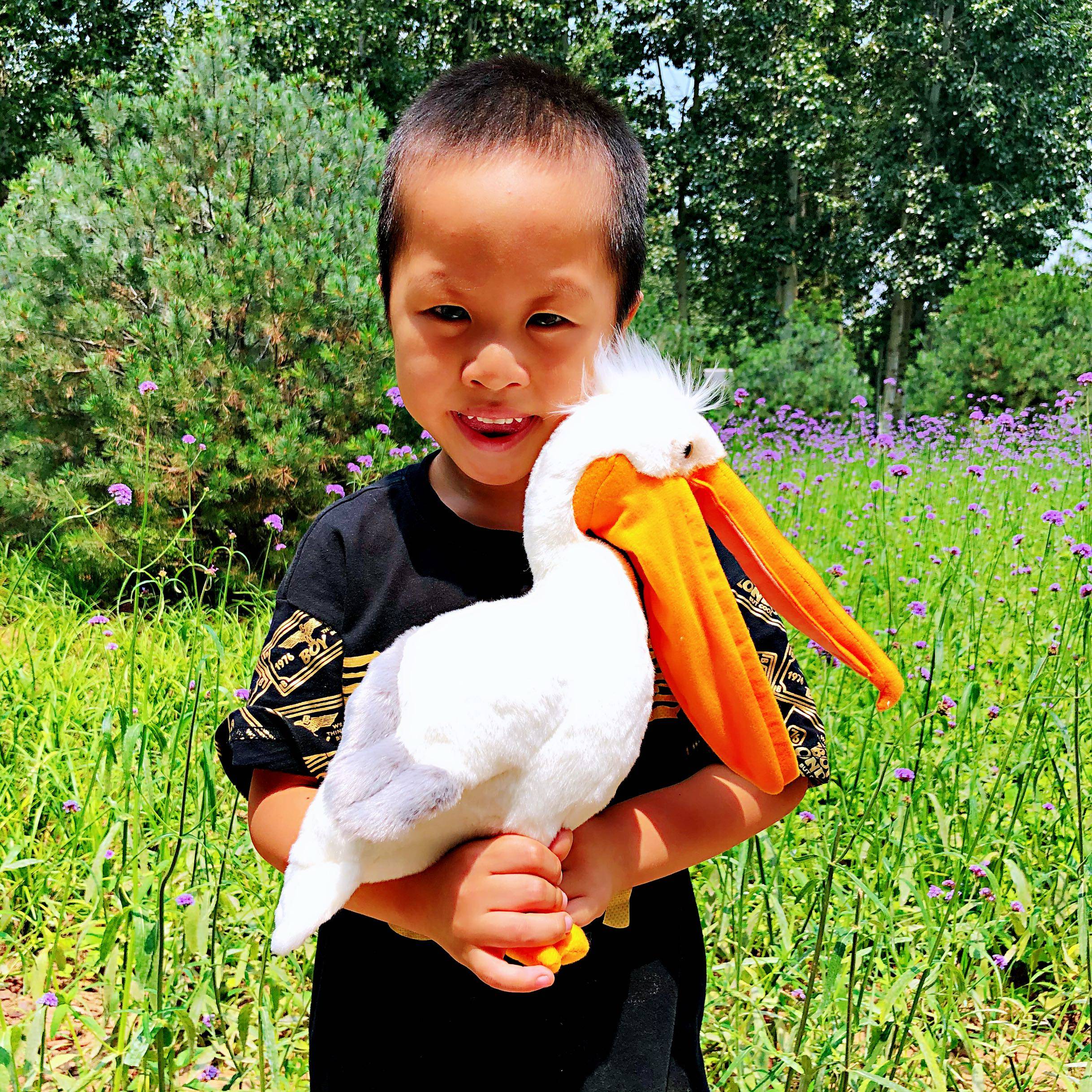 鹈鹕公仔 鹈鹕毛绒玩具鸟类毛绒玩具 仿真动物生日礼物送朋友