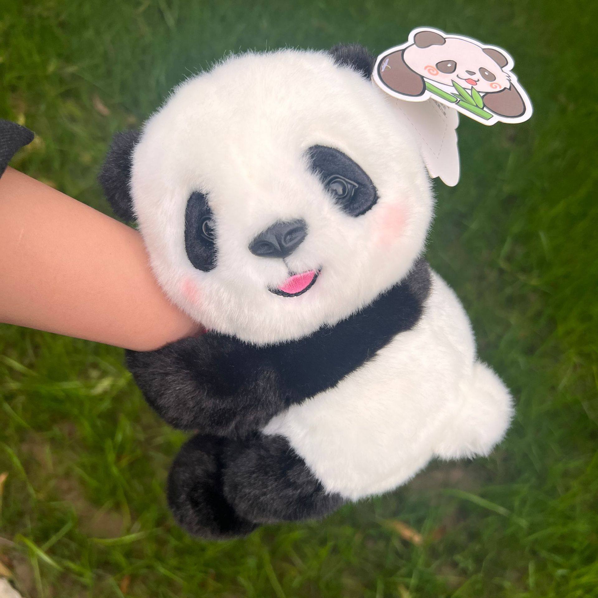 四川基地玩偶纪念品公仔仿真熊猫玩偶毛绒玩具生日送女友啪啪圈