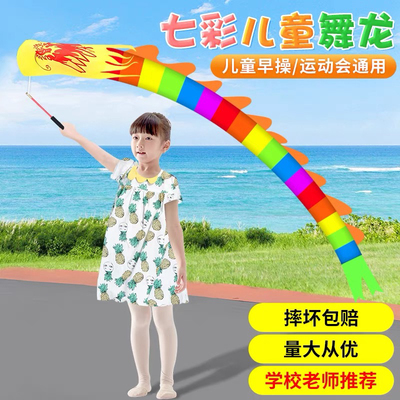 舞龙彩带儿童甩龙健身幼儿园广场手耍龙彩条龙空竹龙舞龙表演道具