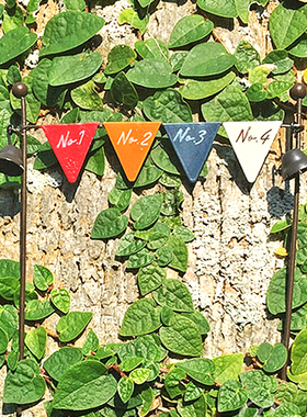 园艺法式风多肉花束配饰标签摆件