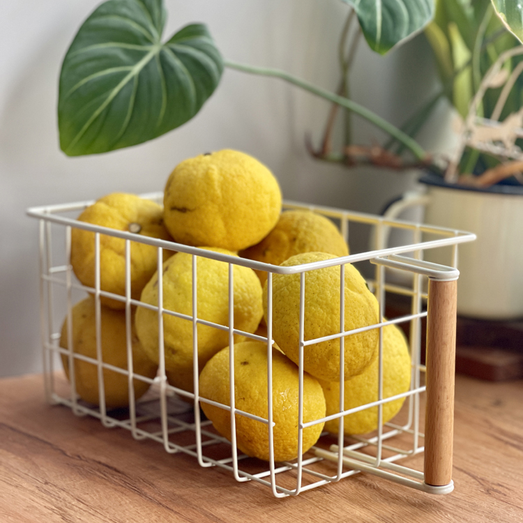 BAOZAKKA收纳篮清新百搭简约