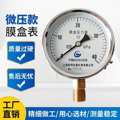 彤炜膜盒压力表YE100然气压力表微压表千帕表6KPa10KPa 25KPa