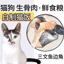 【灵冻爱宠】三文鱼边角肉皮骨腩边角料鱼边500g包邮宠物鱼腩鱼头