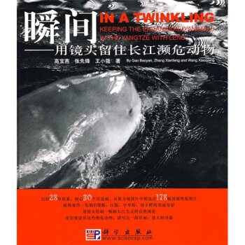 正版现货 瞬间&mdash;&mdash;用镜头留住长江濒危动物 张先锋 高宝燕 王小强著 科学出版社