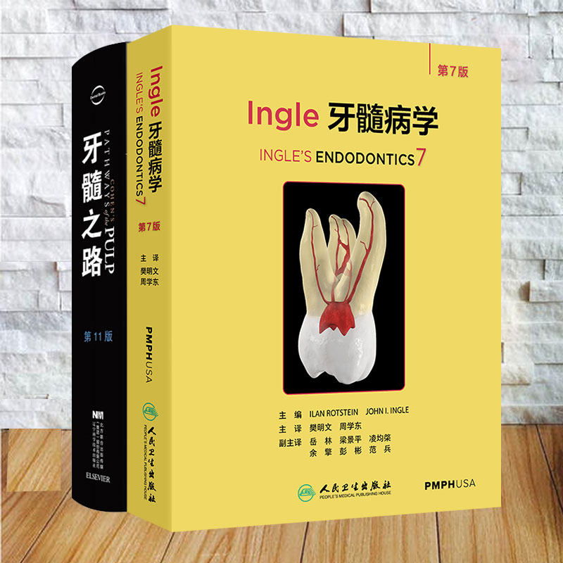 两本套 Ingle牙髓病学第7版/牙髓之路第十一版11版口腔医学口腔正畸 牙科牙髓治疗根管治疗图谱牙体牙髓病学 樊明文 周学东等