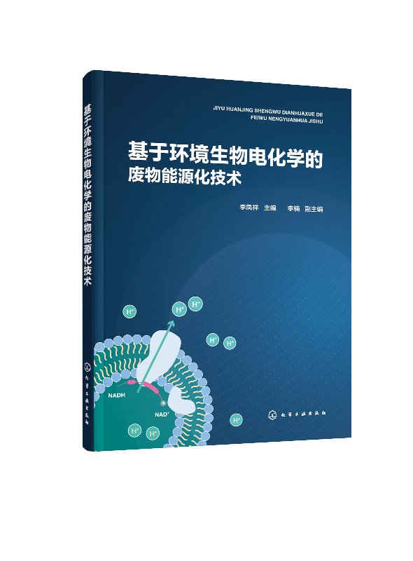 正版现货基于环境生物电化学的废物能源化技术 1化学工业出版社李凤祥主编李楠副主编