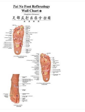 足部反射区推拿挂图(英汉对照)外销书