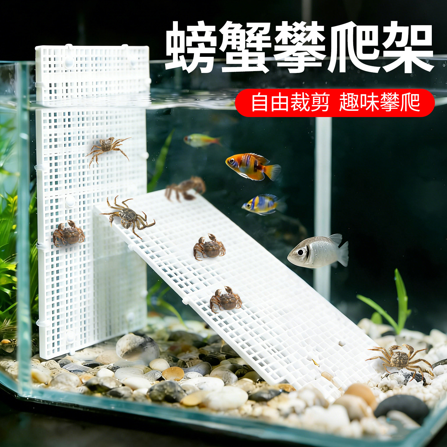 螃蟹攀爬架寄居蟹攀爬网格龟晒台鱼缸防跳盖板格子板网格板可裁剪
