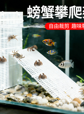 螃蟹攀爬架寄居蟹攀爬网格龟晒台鱼缸防跳盖板格子板网格板可裁剪