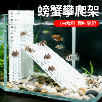 螃蟹攀爬架寄居蟹攀爬网格