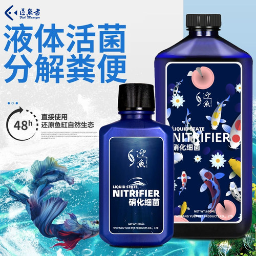 硝化细菌鱼缸水质稳定清澈