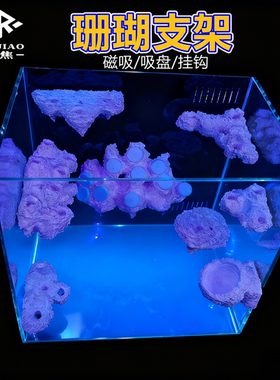 珊瑚磁吸支架断枝SPS纽扣海水鱼缸壁奶嘴海葵繁殖挂架磁铁盘造景