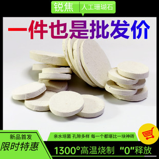 海缸珊瑚基座断肢T型软体SPS海水鱼缸陶瓷圆方六边形纽扣繁殖锐焦