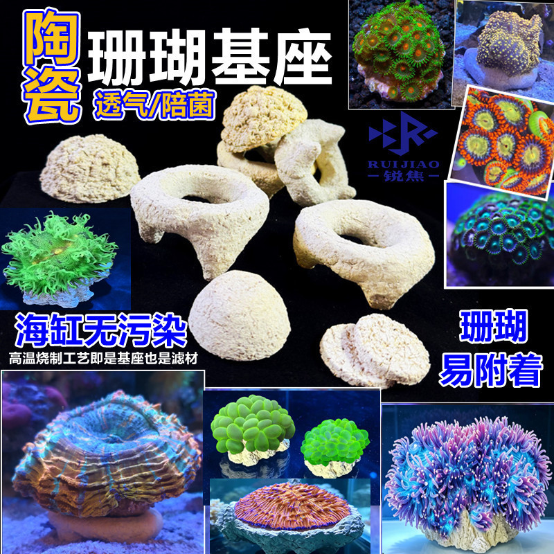 脑珊瑚基座飞盘尼罗河纽扣软体断造景/装饰