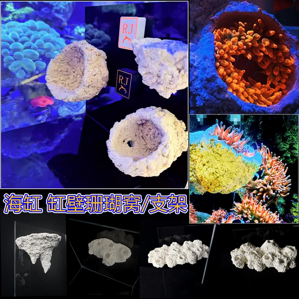珊瑚磁吸奶嘴窝海缸强磁铁玻璃壁挂海葵窝支架悬浮空地毯鱼缸造景