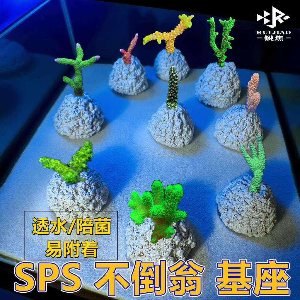 珊瑚断枝基座SPS枝状繁殖带孔基座海缸陪菌透水陶瓷底座海缸造景
