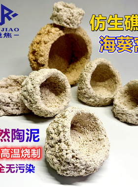 奶嘴海葵窝珊瑚防跑繁殖躲避罐支架基座爪哇基拉戈干岩石锐焦造景