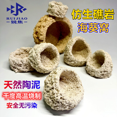奶嘴海葵窝珊瑚防跑繁殖躲避罐支架基座爪哇基拉戈干岩石锐焦造景