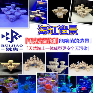 珊珊造景小缸微缸免暴藻培菌支架死石爪哇基拉戈定制锐焦海缸造景