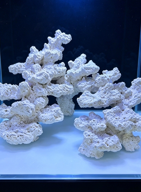 海水缸陶瓷造景基座高透水多孔培菌摆件LPS纽扣草皮珊瑚专用底座
