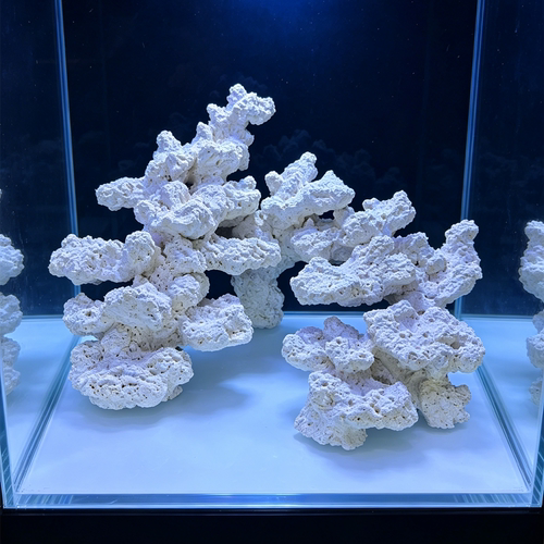 海水缸陶瓷造景基座高透水多孔培菌摆件LPS纽扣草皮珊瑚专用底座