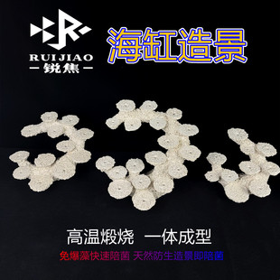 海缸造景半月牙形状软体珊瑚缸造景人工陶瓷陪菌非基拉戈爪哇石活