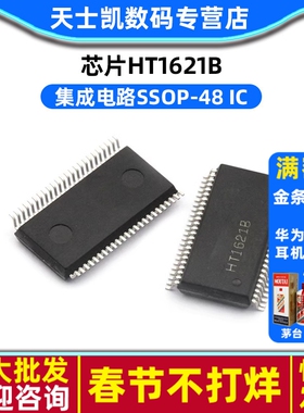 芯片HT1621B 集成电路SSOP-48 IC (2个)