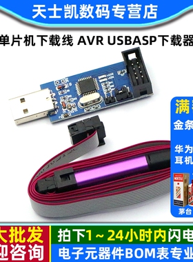 51单片机下载线 AVR USBasp下载器线 USB ISP编程烧录器 带外壳