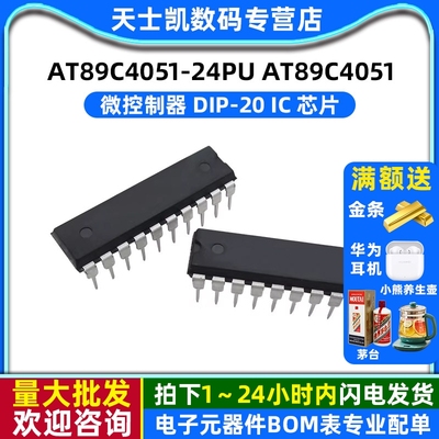 微控制器 AT89C4051-24PU AT89C4051 DIP-20 IC 芯片 (2个)