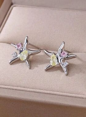 Water Drop Zircon Starfish Stud Earings for Women Men Silver