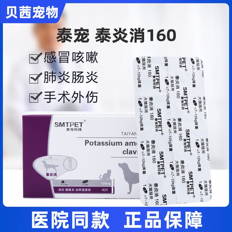 泰宠科技泰炎消160宠物猫狗狗阿莫西林克拉维酸钾消炎药