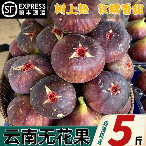 顺丰新鲜红皮无花果云南现摘波姬大果当季孕妇水果整箱批发鲜果