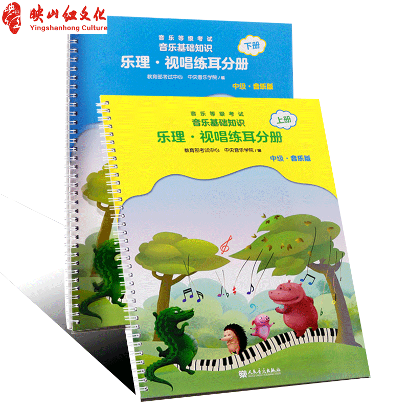 正版音乐基础知识 乐理视唱练耳分册中级上下册 中央音乐学院编 2018儿童乐理基础素养入门教材 音乐基础知识入门书 音乐图书籍