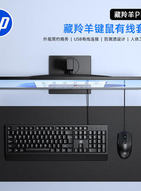 HP/惠普藏羚羊Plus键盘鼠标套装有线电脑笔记本通用USB商务跨境
