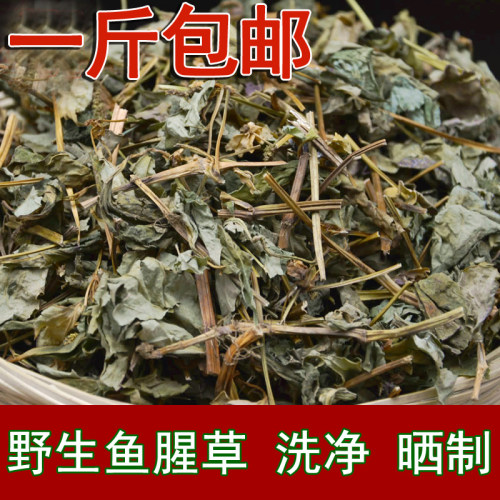 2021年野生鱼腥草干茶新鲜太阳