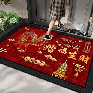 入户地垫硅藻泥新款耐脏脚垫吸水速干门口地垫加厚玄关垫子可裁剪