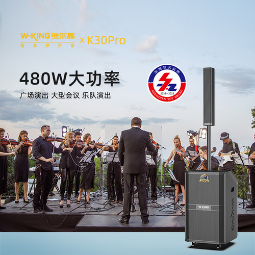舞台演出音响480W大功率K歌